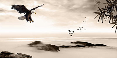 ���P(gu��n)��ʲô��(hu��)�L(f��ng)ˮ��