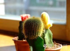 �������Z �����ھ����е�����.