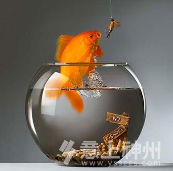 �Ҿ��L(f��ng)ˮ�b��b�޼Ҿ��b�޼Ҿ��O(sh��)Ӌ(j��)�·��b���Ϸ��b��