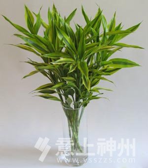 �Ҿ��b���b��b���b���O(sh��)Ӌ(j��)�Ҿ��O(sh��)Ӌ(j��)�·��b���Ϸ��b�ޱ����b��