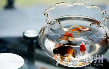 �Ҿ��L(f��ng)ˮ�b���L(f��ng)ˮ�Ҿ��O(sh��)Ӌ(j��)