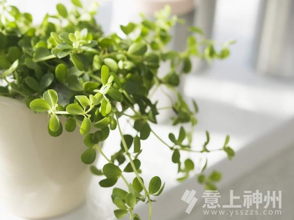 �b��b���b���O(sh��)Ӌ�Ҿ��b��Ʒ�|(zh��)�Ҿ�