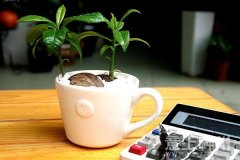  �k���ҾGֲ�b���Ҫ�� 