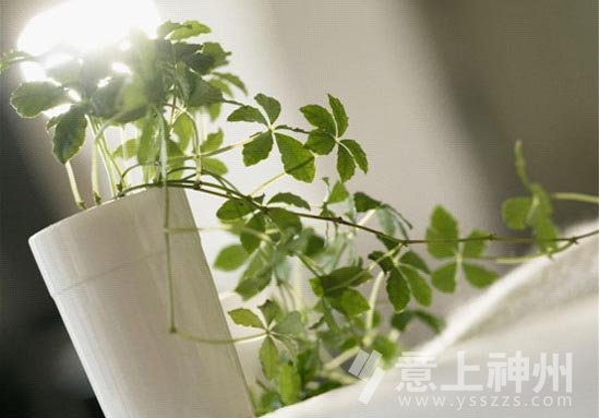 �Ҿ��L(f��ng)ˮ,�b��b��,�Ҿ��b��,�b���O(sh��)Ӌ,�L(f��ng)ˮ�O(sh��)Ӌ,�����L(f��ng)ˮ,���\�W(xu��)�I(y��)�\�L(f��ng)ˮ