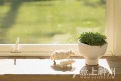 �p�ٰ�����ô�^���Ҿ��b����������