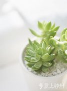  �����۾� �b�޺�Ӽ���ζ���Ĵ��`�^(q��) 