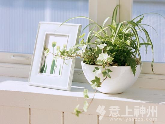 �b��b�޾Ӽ��L(f��ng)ˮֲ���L(f��ng)ˮ