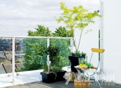 �����ڹP��������_�b�����z��