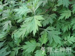 С������������