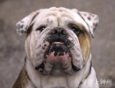 �B(y��ng)��Ҳ���L(f��ng)ˮ֮�f