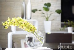 �b��ǰ�ڜ�(zh��n)������n