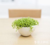 ��e�Ҿ���ȾС֪�R(sh��)