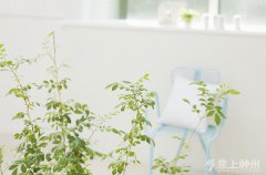 ��Ч��ֹ�����ĺ��L(f��ng)ˮ