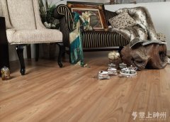 �Ă�С�[�T���p�ɱ�e�h(hu��n)���ذ�