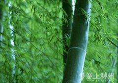 �h(hu��n)����--���ƼҾ�