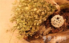 ������Q�Ҿ��b���l(w��i)���g����