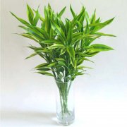 �m�˿͏d�[�ŵ��߷N����