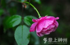 �҃�(n��i)�h(hu��n)�������b�