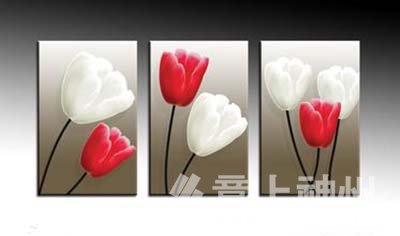 �����b�޹�˾,��������b�˾,�����|�ǅ^(q��)�b�޹�˾,�������ǅ^(q��)�b�˾,���������b�