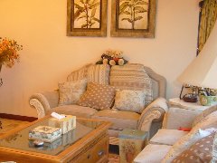 С�����b�޵���������������ˎ���