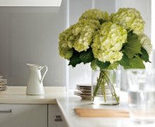 �b�ވ�(b��o)�r(ji��)��(d��ng)�д��ڵ���Щ؈ā